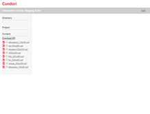 Tablet Screenshot of interactive.cundari.com